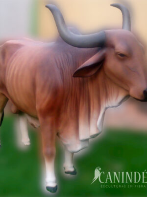 Ref 1205 - Boi carreiro