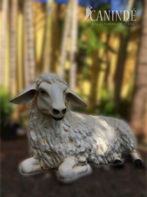 Ref 1006 - Carneiro deitado