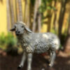 Ref 1005 - Carneiro em pé