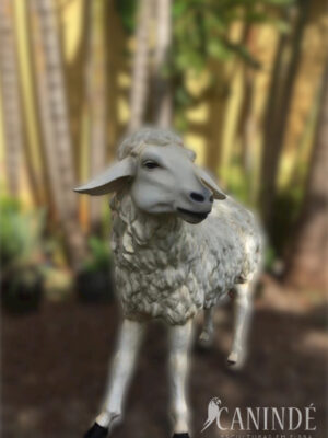 Ref 1005 - Carneiro em pé