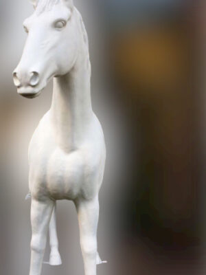 Ref 1407 - Cavalo tipo árabe