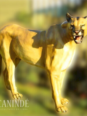 Ref 1504 - Onça sussuarana