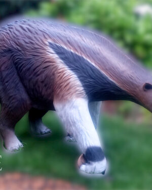 Ref 1804 - Tamanduá