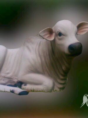 Ref 1002 - Bezerro nelore deitado